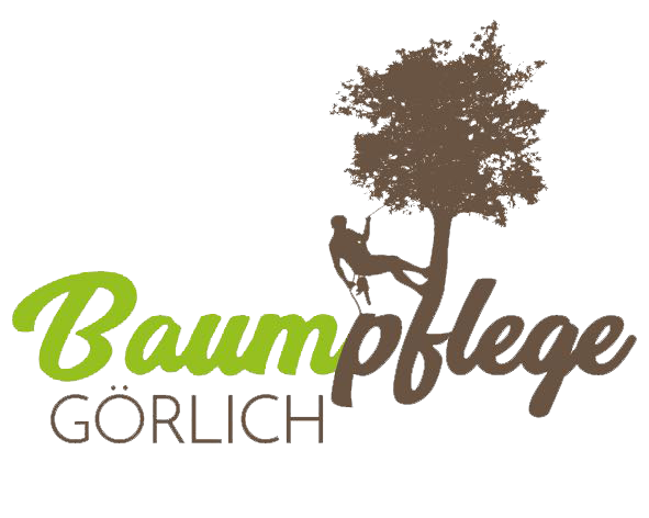 Baumpflege Görlich